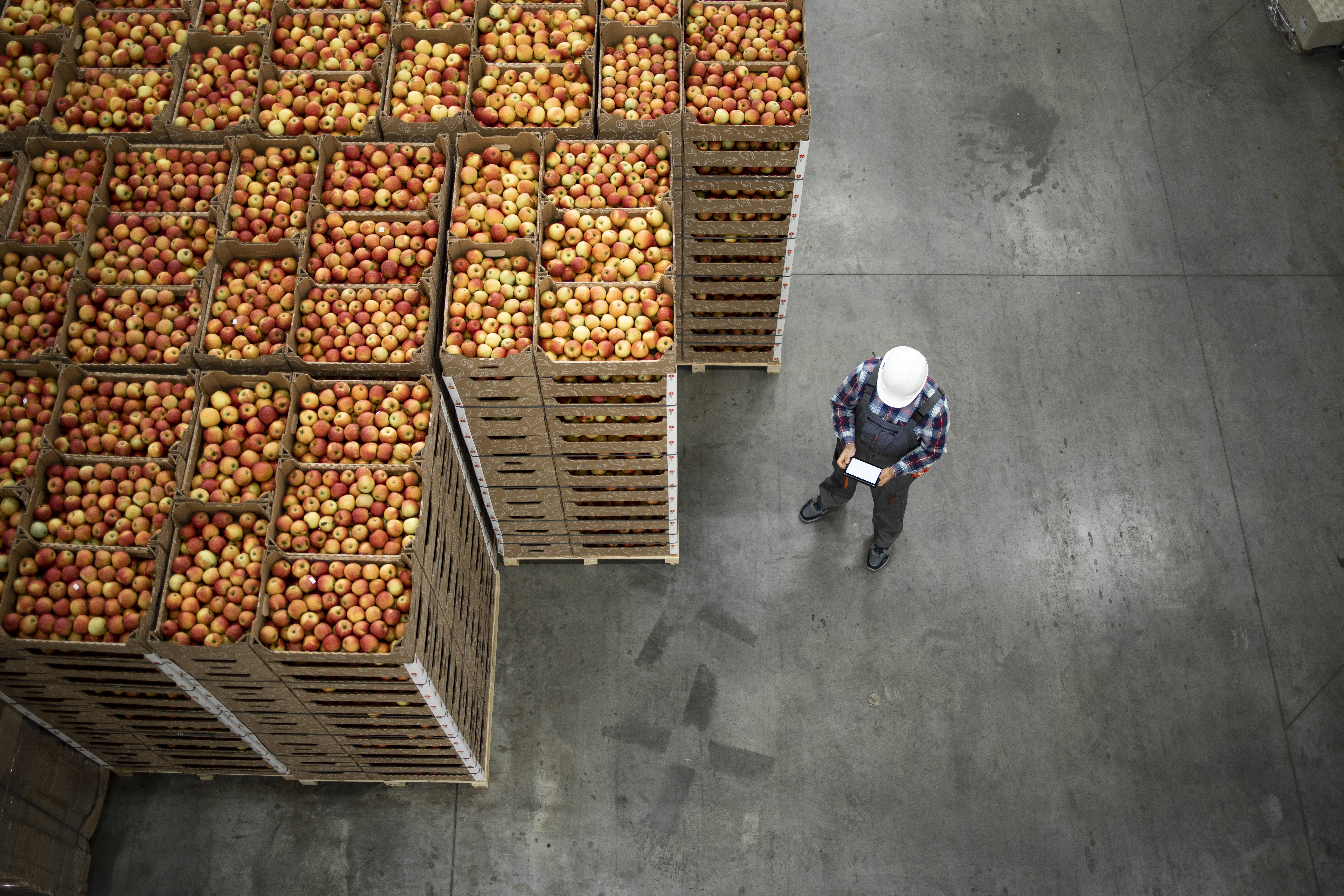 Packed produce organised in a warehouse for supply and distribution